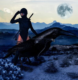 超级忍者兵,隐秘世界里的传奇冒险 超级忍者兵,隐秘世界里的传奇冒险