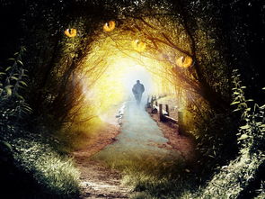 游戏背后的艺术魔法,探索游戏图片处理工具的神奇世界 游戏背后的艺术魔法,探索游戏图片处理工具的神奇世界