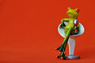 游戏界的璀璨星辰,探索梅原裕一郎的电竞传奇 游戏界的璀璨星辰,探索梅原裕一郎的电竞传奇