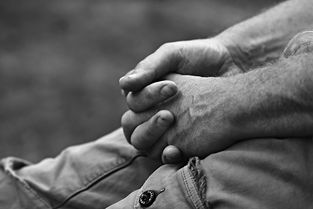 如何吃来预防阿尔兹海默病 如何吃来预防阿尔兹海默病