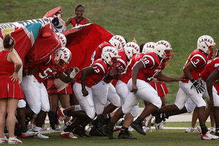 河南与成都球迷赛前爆发群殴,一场足球引发的冲突与思考 河南与成都球迷赛前爆发群殴,一场足球引发的冲突与思考