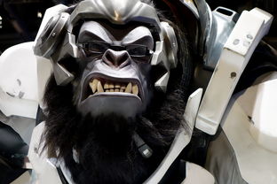 爱的双重魔力,歌词解析与游戏情感共鸣之旅 爱的双重魔力,歌词解析与游戏情感共鸣之旅