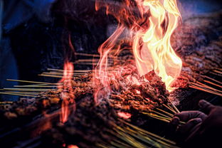 游戏之旅,命运的逆转 游戏之旅,命运的逆转