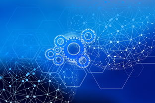 厦门党建e家,数字化转型中的红色引擎 厦门党建e家,数字化转型中的红色引擎