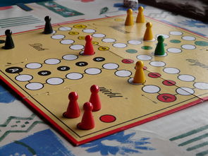 温岭六家统,揭秘古老桌游的智慧与魅力 温岭六家统,揭秘古老桌游的智慧与魅力