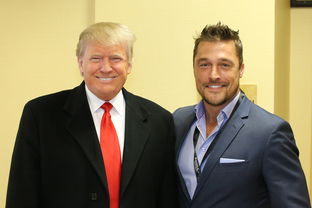 民调揭示,过半美国人对特朗普持负面看法 民调揭示,过半美国人对特朗普持负面看法