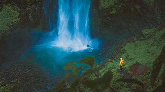 成年人的游戏,解锁身心乐趣的新世界 成年人的游戏,解锁身心乐趣的新世界