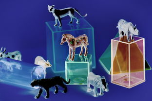 7K7K小游戏单人探索之旅,休闲娱乐新天地 7K7K小游戏单人探索之旅,休闲娱乐新天地