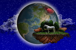 虚拟与现实交织,探索我的世界现实版的魅力 虚拟与现实交织,探索我的世界现实版的魅力