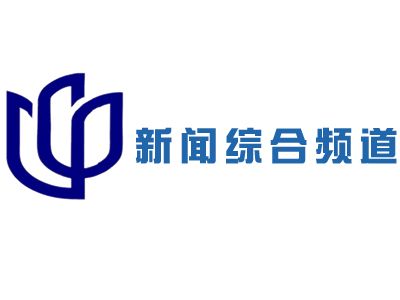 上海新闻综合频道回看