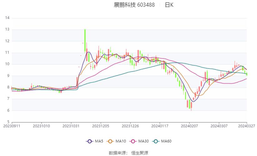 展鹏科技资金情况分析与建议 展鹏科技资金情况分析与建议
