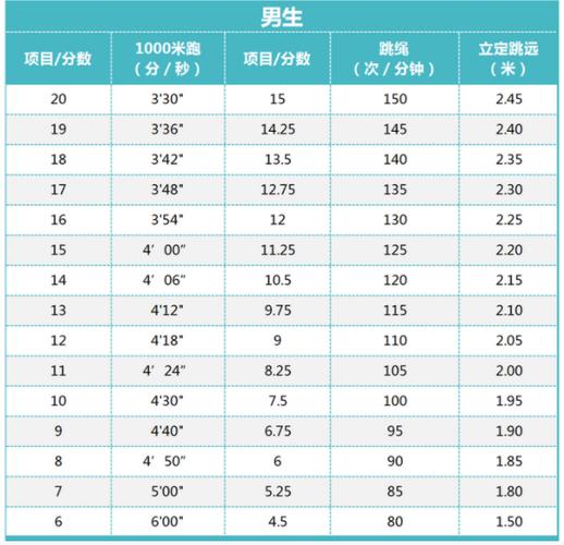 体育成绩