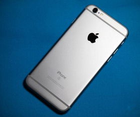 iphone蓝框怎么取消 iphone蓝框怎么取消