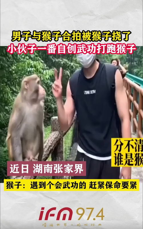 黑猴网络科技学院