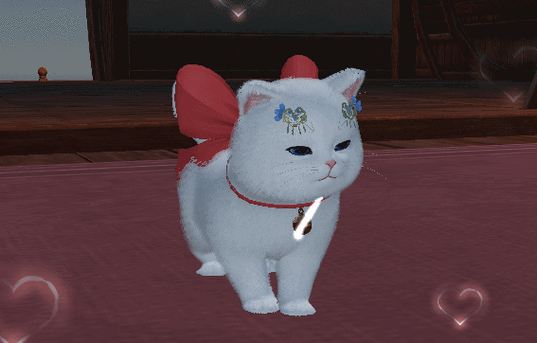 天刀养猫 天刀养猫