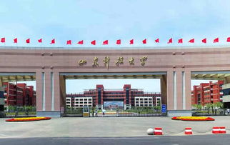 山东科技职业学院专业学费