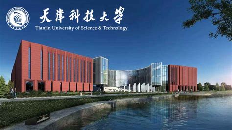 天津科技大学滨海占地面积 天津科技大学滨海占地面积