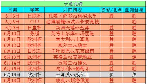 德国2024欧洲杯 德国2024欧洲杯