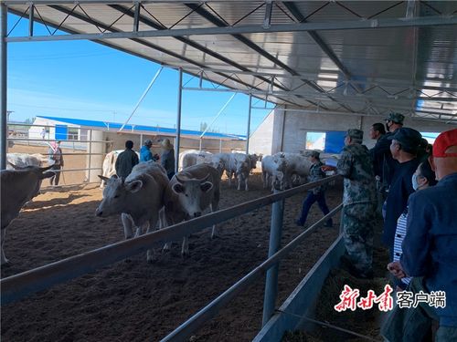 瓜牛乐园怎么样
