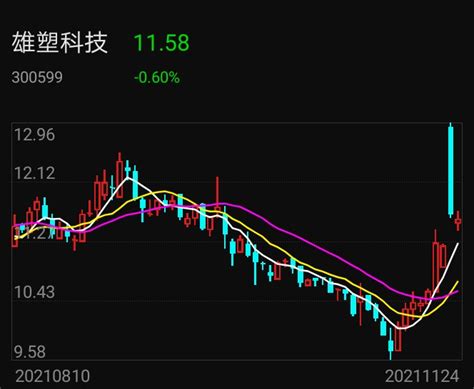 雄塑科技2021业绩