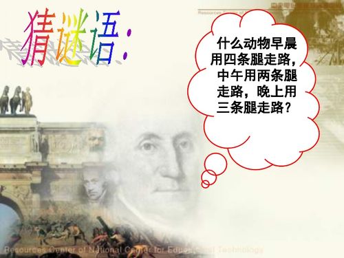 剪一缕冬阳,暖一段时光