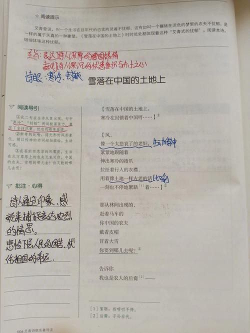 5??native speaker润色服务推荐
