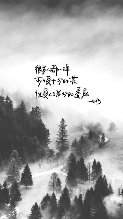 ēu C OāouA ě OāOāAaA AuAE RěA Aa EAo O AOěMVE O UOā ēu C OāouA ě OāOāAaA AuAE RěA Aa EAo O AOěMVE O UOā