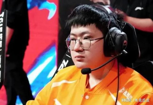 小老虎不打事件深度解析一次推搡背后的社会反响与当事人回应 小老虎不打事件深度解析一次推搡背后的社会反响与当事人回应