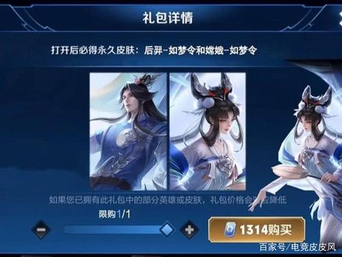 王者荣耀新皮肤二选一