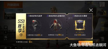 王者星魂战场全新灵宝赛季开启，招募资格与免费皮肤等你来拿！

引言
随着王者星魂战场的最新更新，玩家们迎来了一个全新的赛季——灵宝赛季。这不仅是一个新的开始，也是玩家们展示自己战斗技巧和策略的绝佳机会。本次更新带来了丰富的