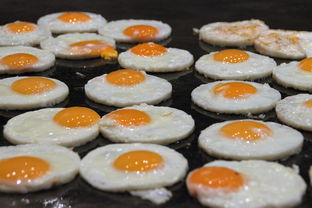 QQ餐厅19级巅峰布局策略，解锁顶级美食与空间艺术