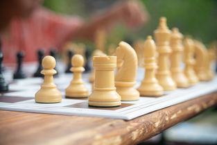 探索棋盘奥秘，中国象棋残局大全解析