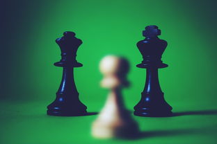 哈利·波特与混血王子游戏深度解析,魔法世界的沉浸式探索 哈利·波特与混血王子游戏深度解析,魔法世界的沉浸式探索