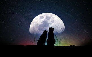 月神之光，探索游戏宇宙的神秘篇章
