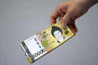名嘴论道,金砖国家呼唤独立支付系统 名嘴论道,金砖国家呼唤独立支付系统