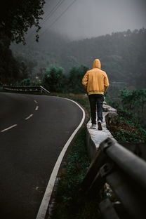 专家解读哀牢山为禁区之谜 专家解读哀牢山为禁区之谜