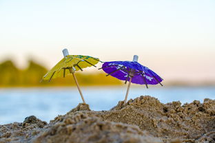 夏日回忆，在那年夏天宁静的海伴奏中唤醒的游戏情感