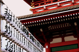 日本首相石破茂不参加靖国神社大祭,审视历史与未来的对话 日本首相石破茂不参加靖国神社大祭,审视历史与未来的对话
