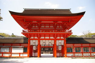智利女网红在日本神社展现引体向上力量
