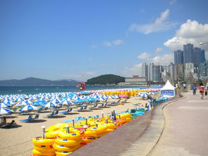 广东沿海多地遭遇海水倒灌,车辆被淹成灾 广东沿海多地遭遇海水倒灌,车辆被淹成灾