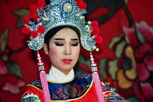 十二金钗的魅力，红楼梦中的女性肖像画