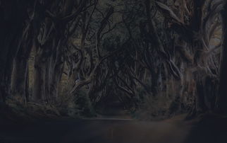 穿越独立团论坛，探寻游戏背后的历史与文化