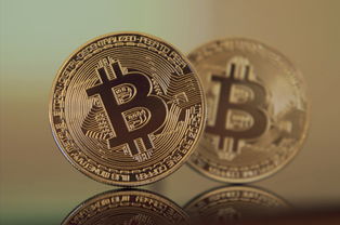 揭秘金价波动背后的逻辑，黄金投资的神秘面纱
