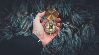 趣闻天下，探索游戏世界的秘密，官网下载指南
