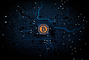 游戏世界里的趣事，探索虚拟与现实的桥梁