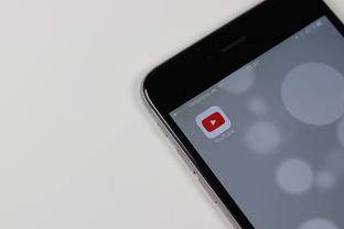 隐私保护新技能，如何在iPhone上巧妙隐藏手机软件