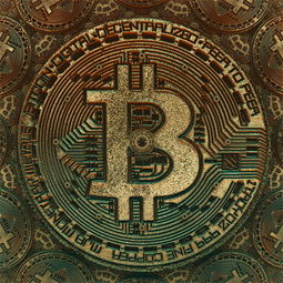 探索无限内购，揭秘中文破解游戏的虚拟世界