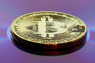 从零到一，揭秘APP游戏开发的全过程