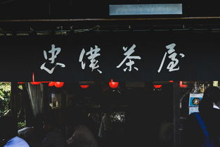 时光隧道,探索时间的奥秘与趣闻趣事 时光隧道,探索时间的奥秘与趣闻趣事