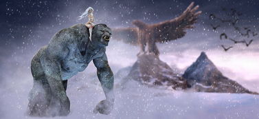 趣味农场百科，解锁雪的秘密与获取指南